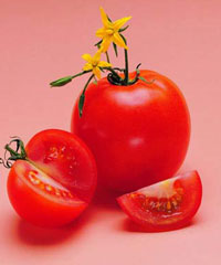 ���m���ЋD�Ե��ķNˮ��������