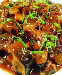 �t���S�ŵ�����