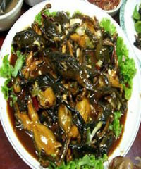 �u�F���ܵ�����