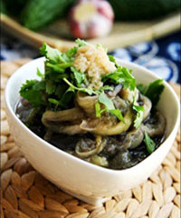 ��������ӵ�����