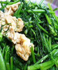 С���㳴��������