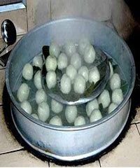 �͇������ε�����