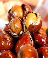 �ͳ������ӵ�����