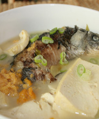 �a�~������������