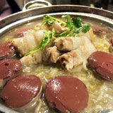 ����Ѫ�c������