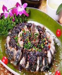 �����뺣������