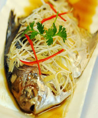 ����ƽ�~������