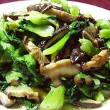 Ģ�����Ͳ��ĵ�����