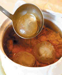 ���x�ݟ�̥�P������