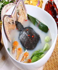 ��������~������