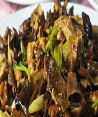 �[����ľ��������