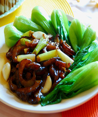 �[�����PƬ������