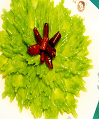 �����Ϳ�ϵ�����