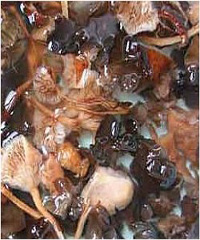 �uζ�rĢ������