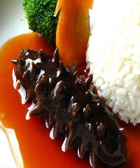 �t���̅�������