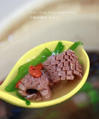 ��������p����������