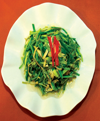 ����Ұ�ջ�������