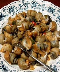 �ͱ����ݵ�����