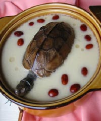 ���Ԝ�������