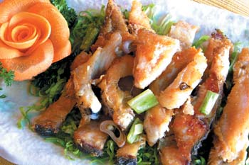 ������~�������