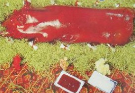 ���t�����i������