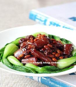 �S���F�iβ������