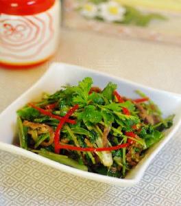 ����ţ��z������