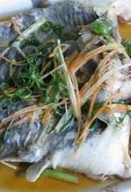 �����T�~������