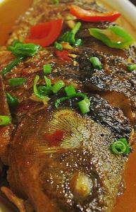 �t���a�~������