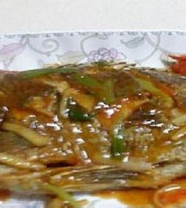 �t���_���~������