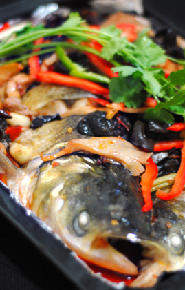 �����������~������