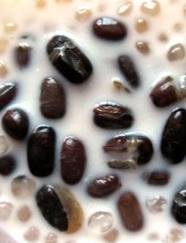 �t������¶������