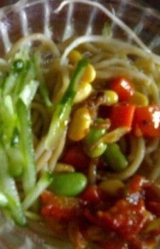 ����ݯ�������