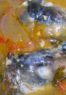 �ݲ��~�^������