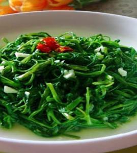 ͨ�Ĳ˵�����