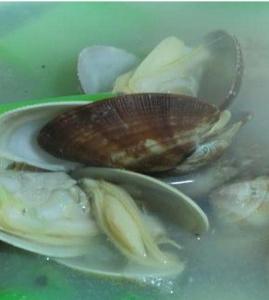 ��˻��򜫵�����