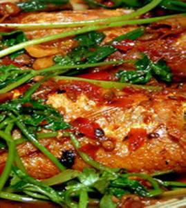 �ɟ��t���~������