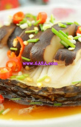 �㹽���L�~������