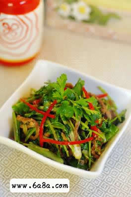 ����ţ��z������