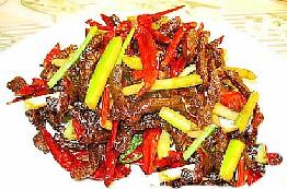 �~��ţ��z������