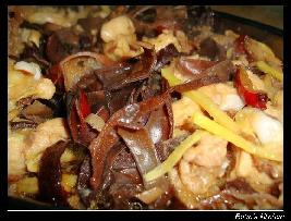 �t��ľ�����u������