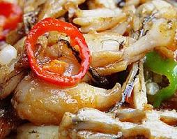 �������u�ȵ�����