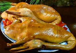 �o��Ѭ��������