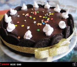 �ɿ������ҵ��������