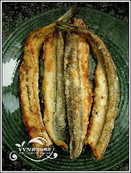 ��ը�ﵶ�~������