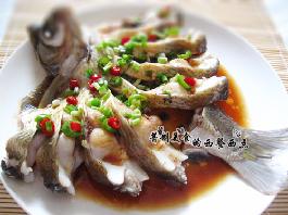 ��ȸ�_������~������