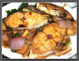 ���[�F�R�o�~������