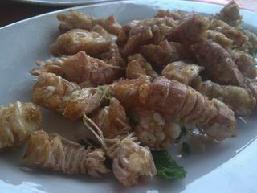 ���}�r�õ�����