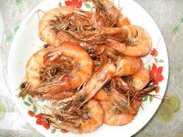 �͠F�r�r������