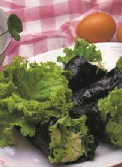 �R����־�������